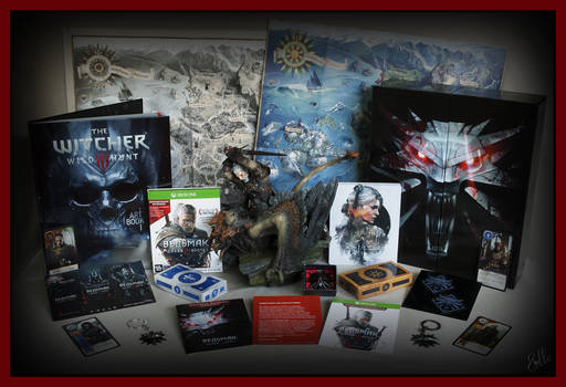 The Witcher 3: Wild Hunt - Фотообзор коллекционного издания "Ведьмак 3: Дикая Охота" для Xbox One The Witcher 3: Wild Hunt - Фотообзор коллекционного издания "Ведьмак 3: Дикая Охота" для Xbox One